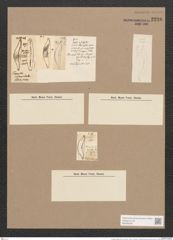 Toxonidea insignis Donk. (de-Toni-Nr.: Genus 16, Species 1138) Zeichnungen Sammlung Grunow Nr. 2236 (NHMW-BOT-W0369330)